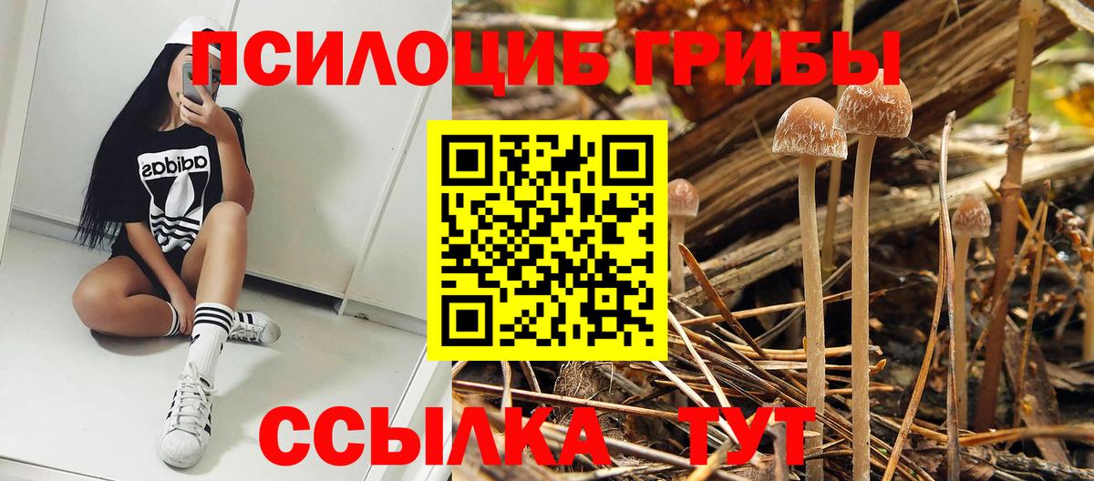 Псилоцибиновые грибы ЛСД Благодарный