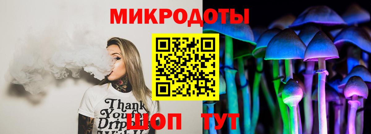 Псилоцибиновые грибы Psilocybine cubensis  закладка  Благодарный  Вход с VPN 